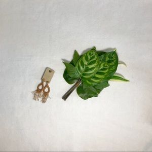 Anthropologie earrings